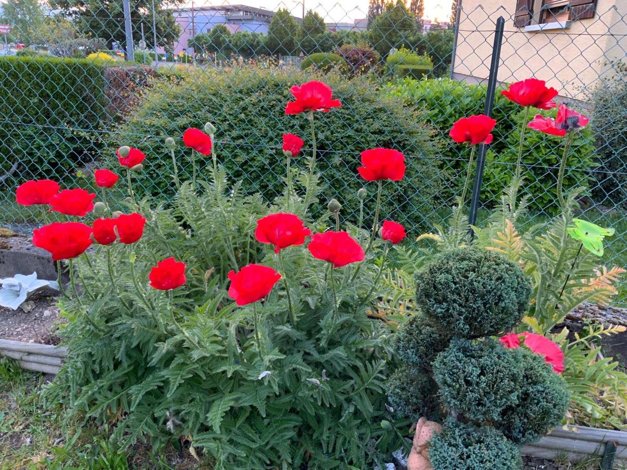 Le Nid Fleuri De Cravanche Exterior foto
